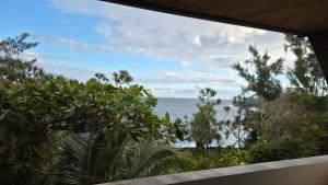 a view of the ocean from a house window at Le chant des vagues in Saint-Philippe +2 photos