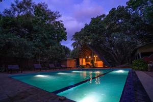 a swimming pool in a backyard at night at A4 By Gabaa in Habarana
