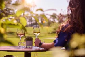 a woman sitting at a table with two glasses of wine at Landgoed De Holtweijde in Lattrop