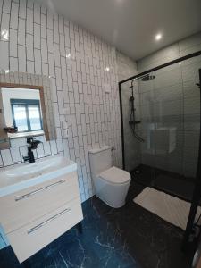 a bathroom with a toilet and a shower and a sink at Cosy et Calme in Cholet