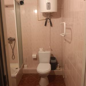 a small bathroom with a toilet and a shower at Liepsna Šventoji in Šventoji +31 photos