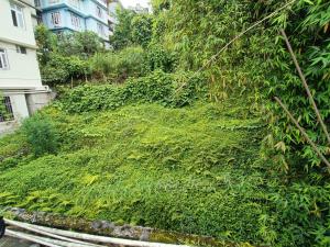 a hill covered in green vegetation next to a house at CLOUDS Hotel and restaurant in Gangtok
