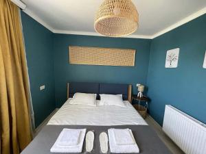 a bedroom with a bed with a blue wall at Aura House in Tsalka