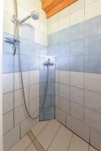 a shower in a bathroom with blue and white tiles at 3 Rivers Beehive cabin on a farm in Radovljica
