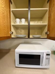 a white microwave oven sitting in a kitchen at 1 Bedroom Basement Apartment Owen Sound in Owen Sound