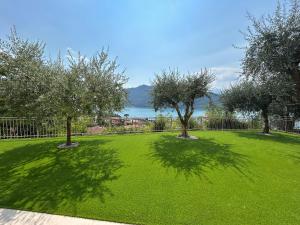 three trees in a grassy yard with a fence at Casa vacanza Giardinolago in Sale Marasino