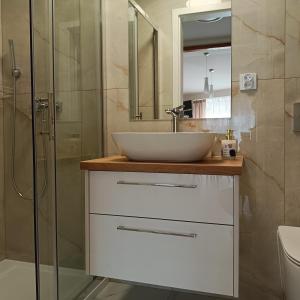 a bathroom with a sink and a shower at Apartamenty 40 in Ciechocinek +28 photos