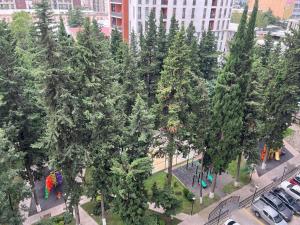 an overhead view of a bunch of trees in a city at Apartment in green Budapest in Tbilisi City