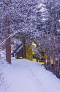 a snow covered yard with a house and trees at VILA PAVLOVIC in Kopaonik