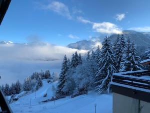a view of a snow covered mountain with trees at Les Brigues - Appartement avec vue sur la montagne et accès aux pistes in Courchevel +3 photos