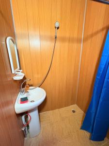 a bathroom with a white sink and a mirror at Otto's House in Ambrolauri +35 photos