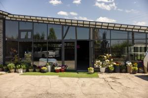 a flower shop with potted plants in front of it at FlowerHouse in Karakol +83 photos