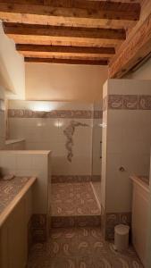 a bathroom with a shower in a room at Le charme de l'Arlésienne in Arles