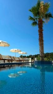 a palm tree sitting next to a swimming pool at Hotel Zurich in Golem
