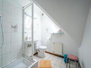a bathroom with a shower and a toilet and a sink at Le Cheval Blanc in Ruederbach +32 photos