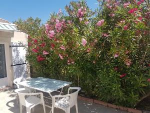 a table and chairs in front of a bush with pink flowers at La maison multicolore in Salon-de-Provence