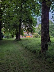 two trees in a field with a house in the background at Ferienwohnung Käthe in Filipstad +7 photos