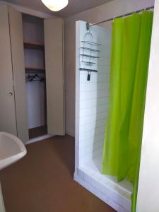 a bathroom with a shower with a green shower curtain at les terrasses du Thouet in Parthenay