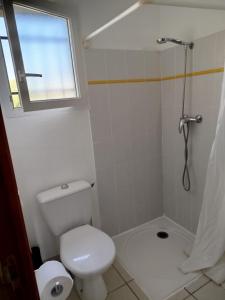 a bathroom with a toilet and a shower with a window at Soleiou in Salavas