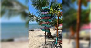 a beach with a palm tree with signs on it at Casa MACONDO BEACH HOUSE in Rincón +14 photos