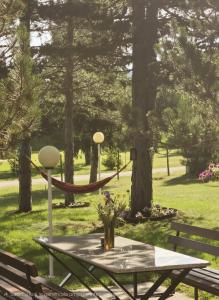 a picnic table with a hammock in a park at Blidinje Bliss in Risovac