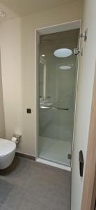 a glass shower in a bathroom with a toilet at Natural Beatriz Luxury Villa Baby Package Included in Lajares