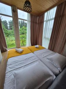 a large bed in a room with a window at Hillside House Overlooking Batumi in Charnali