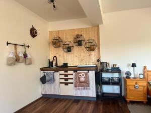 a kitchen with a counter with a bear on the wall at Statek Soví Dvůr in Rabyně +20 photos