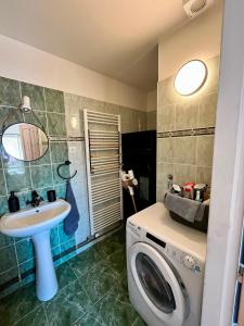 a bathroom with a washing machine and a sink at Statek Soví Dvůr in Rabyně