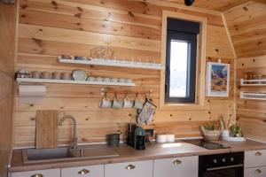 a kitchen with wooden walls and a sink at Hedwig cottages 1 in Njegovuđa +28 photos