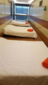 宋溪的住宿－A105民宿，三个床在一间房间里排成一排