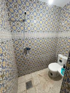 a bathroom with a shower and a toilet in it at Dar Sarah in Kelibia +6 photos
