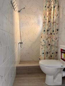 a bathroom with a toilet and a shower curtain at Мини отель Семейного типа. in Zatoka +21 photos