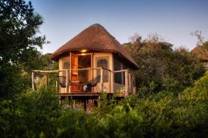 a tree house with a thatch roof at Addo Elephant Safari Lodge - Bellevue Forest Reserve in Paterson