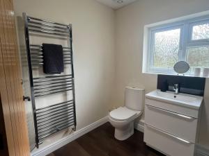 a bathroom with a toilet and a sink and a window at Saddleback Bungalow in Llandrindod Wells +9 photos