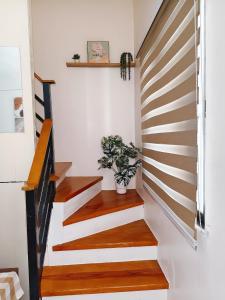 a staircase in a house with wooden floors and a plant at Graceland in Lapu Lapu City