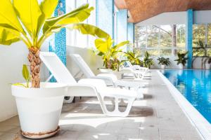 a row of white lounge chairs next to a pool at Hotel Jantar Dudince in Dudince
