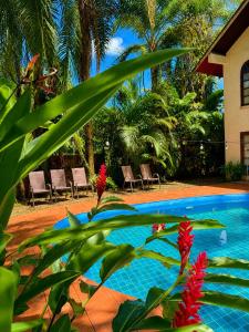 a resort swimming pool with red flowers in the foreground at Hotel Mandacarú Puerto Viejo in Puerto Viejo