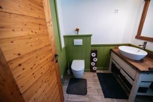 a bathroom with a toilet and a sink at Zidanica Pobežin in Rogaška Slatina +19 photos