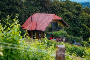 a small house with a red roof on a hill at Zidanica Pobežin in Rogaška Slatina
