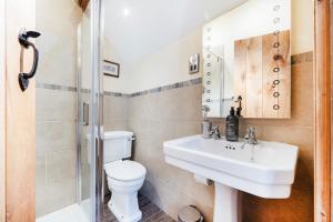 ein Badezimmer mit Toilette, Waschbecken und Dusche in der Unterkunft Hay Store in Corwen + 46 Fotos