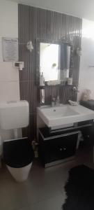 a bathroom with a sink and a toilet and a mirror at ROSE ROOM for 4 guests in green Rose resort Ljubljana in Ljubljana +17 photos