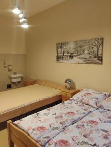 a bedroom with two beds and a painting on the wall at Willa Aronia in Szczawnica