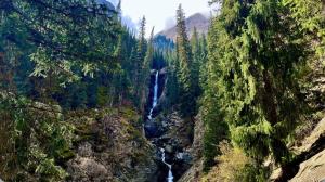a waterfall in the middle of a forest at Nazik Guest House in Barskoon