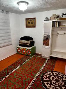 a living room with a rug and a mirror at Nazik Guest House in Barskoon +3 photos
