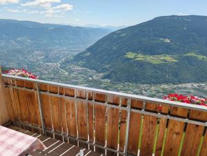 a view of a valley from a balcony with flowers at Greiterhof Partschins in Parcines