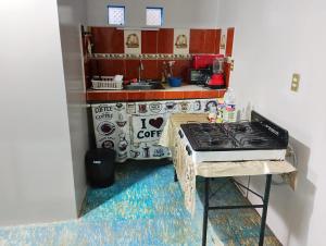 a small kitchen with a stove and a sink at Hospedaje La Cienega in Zacatlán