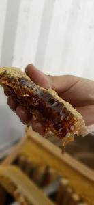 a person holding a piece of food in their hand at Casas de Mirão in Baião +14 photos