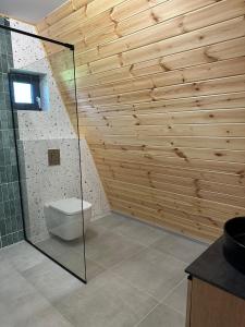 a bathroom with a toilet and a wooden wall at The Peak in Zărneşti
