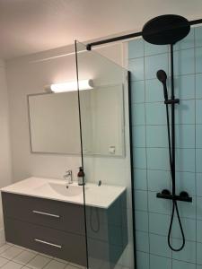a bathroom with a shower with a sink and a mirror at Spacious Apartment - Central Voss - Free Parking in Vossevangen +22 photos